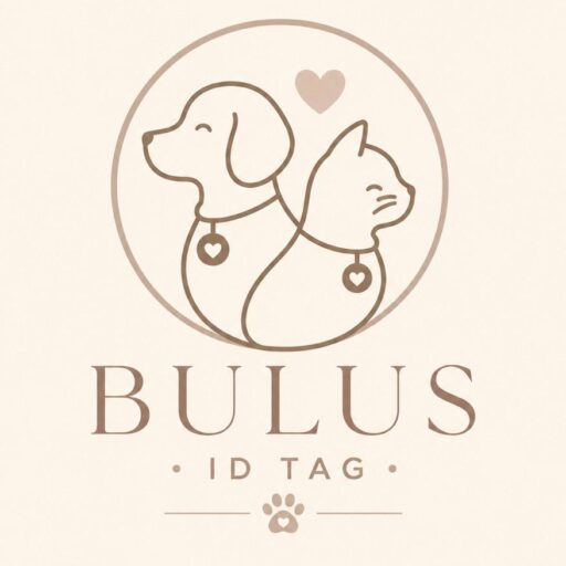 BULUS WORLD